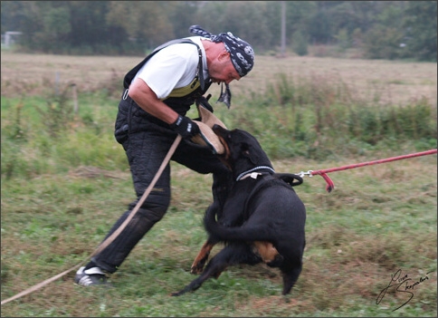 Training in Prague 10/2007